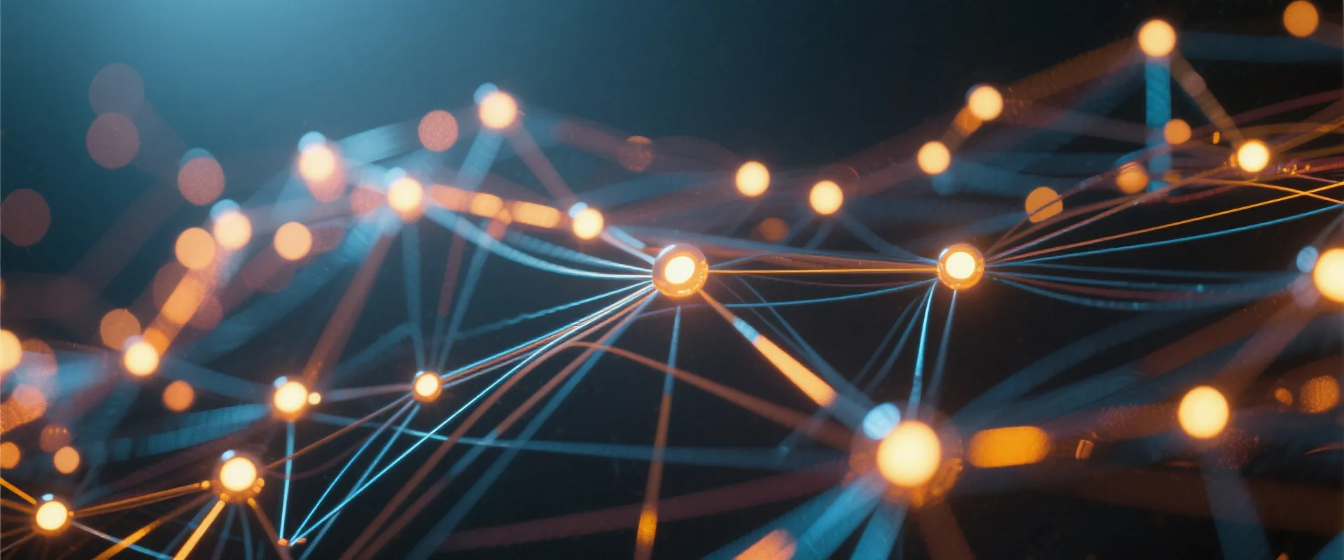 Data Network